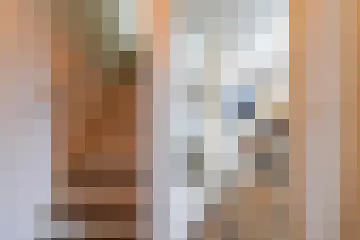 Smallevaert 33 Kaatsheuvel thumbnail 6