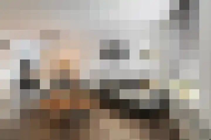 Smallevaert 33 Kaatsheuvel thumbnail 7