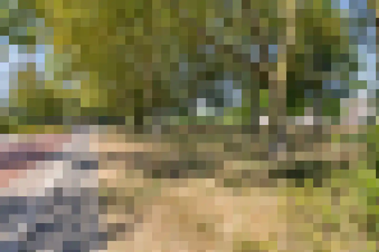 Smalleweg 1 a Beek en Donk thumbnail 36