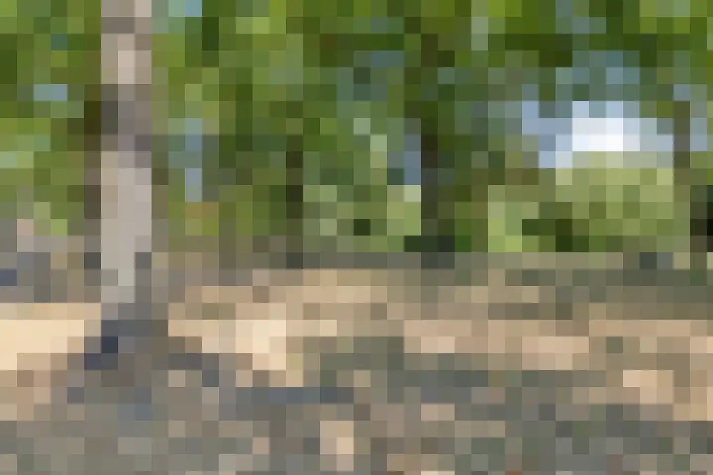 Smalleweg 1 a Beek en Donk thumbnail 37