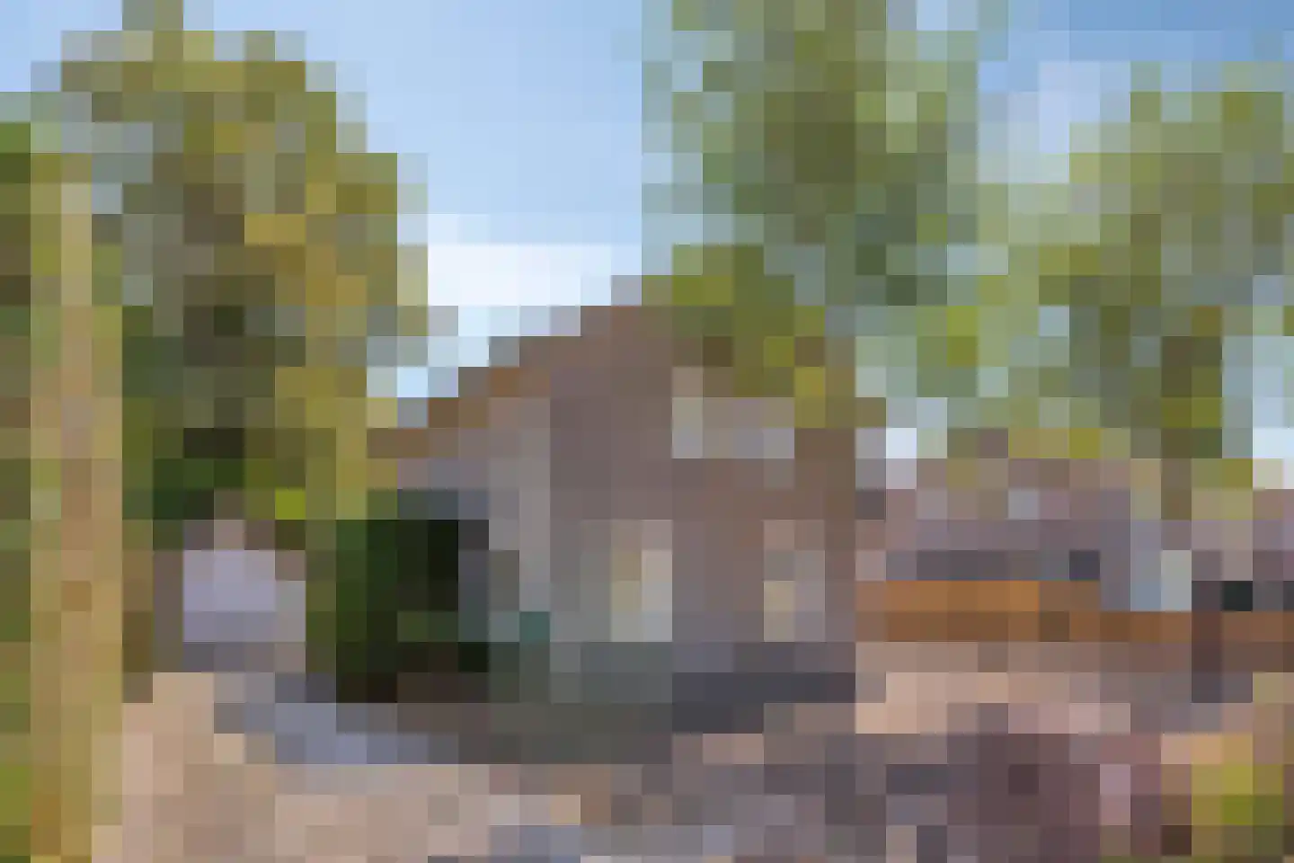 Smalleweg 1 a Beek en Donk thumbnail 5