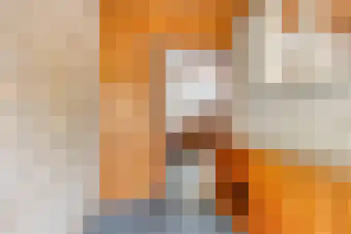Smalleweg 12 Beek en Donk thumbnail 13