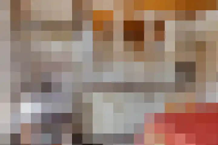 Smalleweg 12 Beek en Donk thumbnail 16