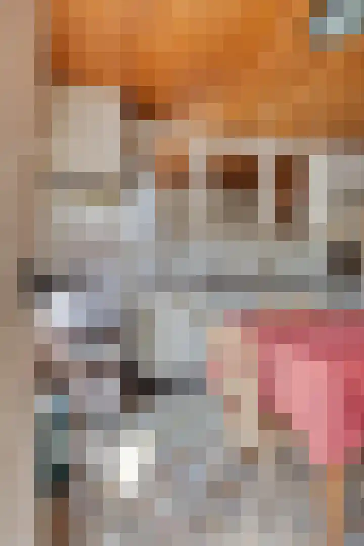 Smalleweg 12 Beek en Donk thumbnail 17