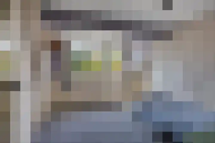 Smalleweg 12 Beek en Donk thumbnail 28