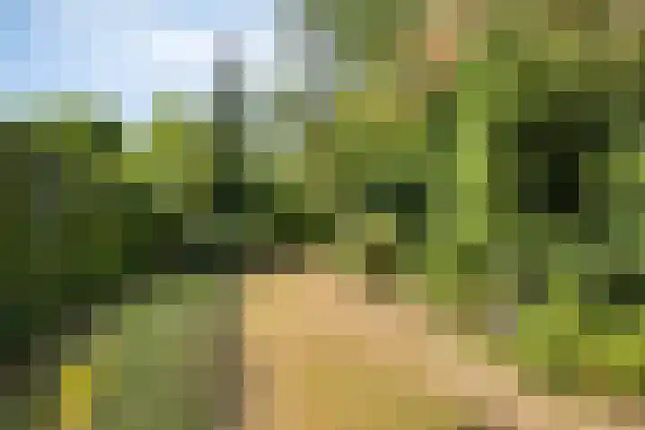 Smalleweg 12 Beek en Donk thumbnail 33