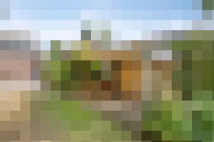 Smalleweg 12 Beek en Donk thumbnail 34