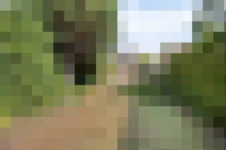 Smalleweg 12 Beek en Donk thumbnail 4