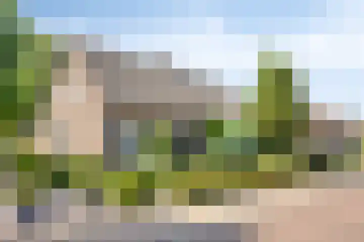 Smalleweg 12 Beek en Donk thumbnail 5