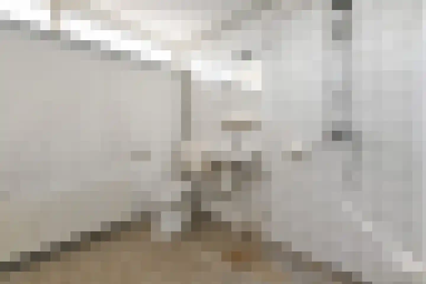 Smallingerland 1 Zoetermeer thumbnail 32