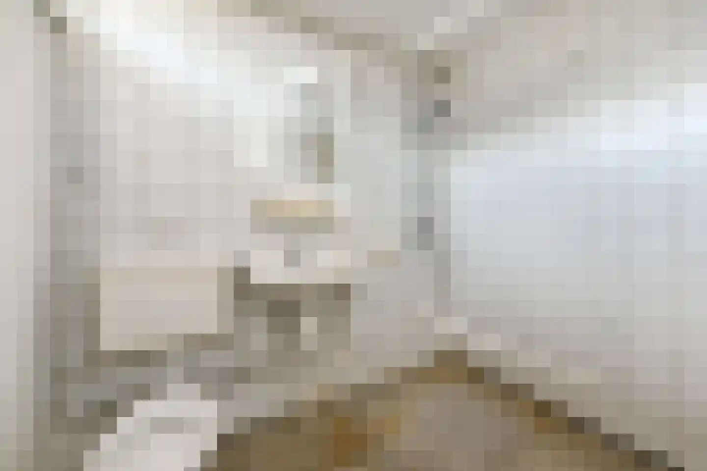 Smallingerland 1 Zoetermeer thumbnail 33