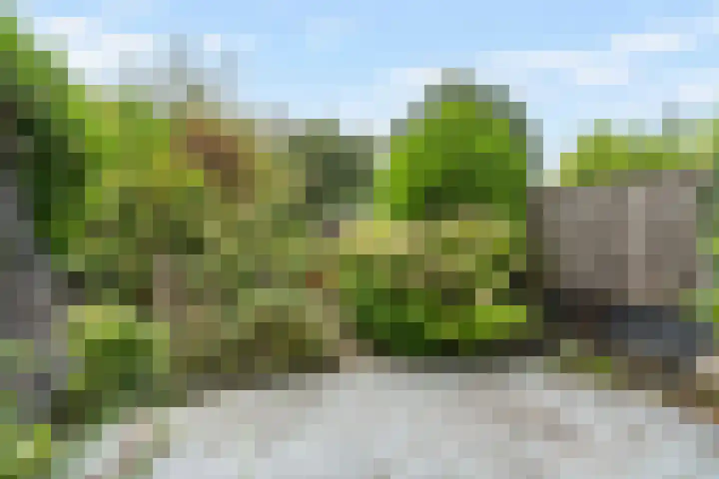 Smallingerland 23 Zoetermeer thumbnail 20