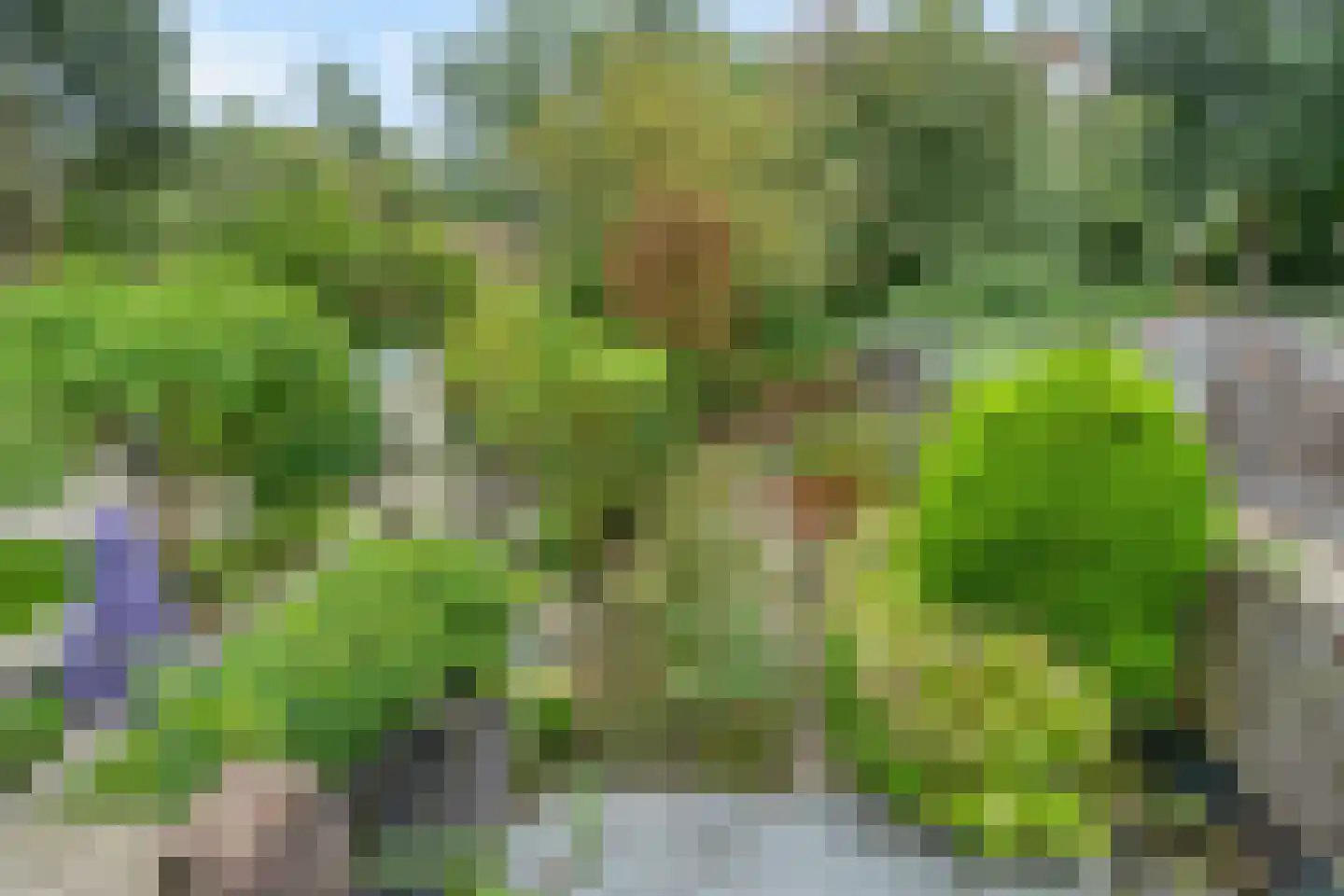 Smallingerland 23 Zoetermeer thumbnail 25