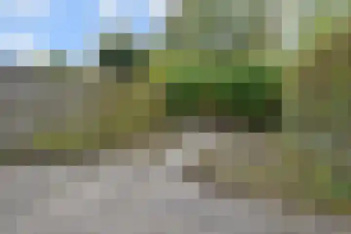 Smallingerland 29 Zoetermeer thumbnail 16