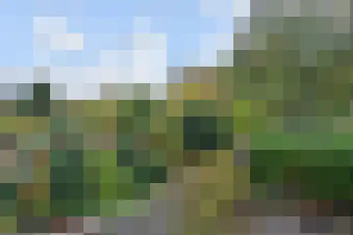 Smallingerland 29 Zoetermeer thumbnail 30