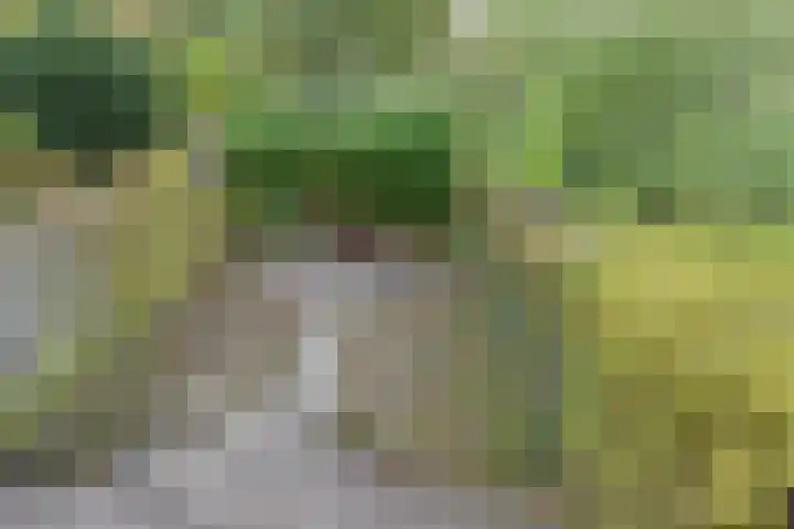 Smallingerland 29 Zoetermeer thumbnail 33
