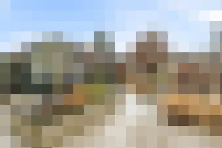 Smallingerlandweg 24 Arnhem thumbnail 11