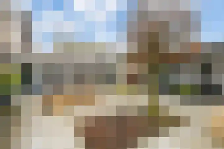 Smallingerlandweg 24 Arnhem thumbnail 16