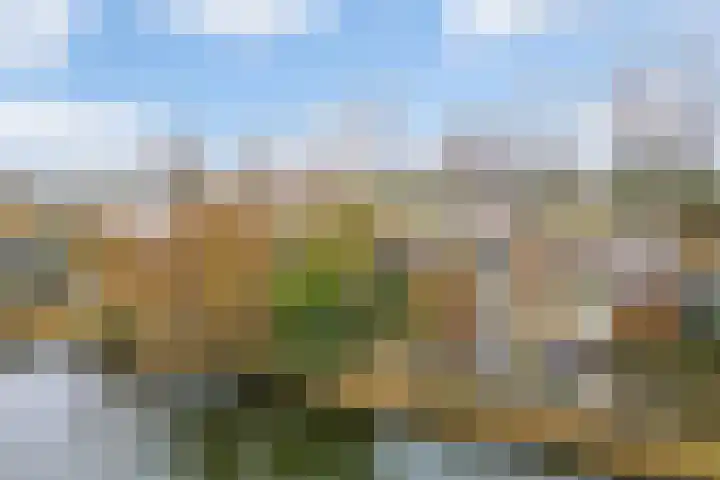 Smallingerlandweg 24 Arnhem thumbnail 33