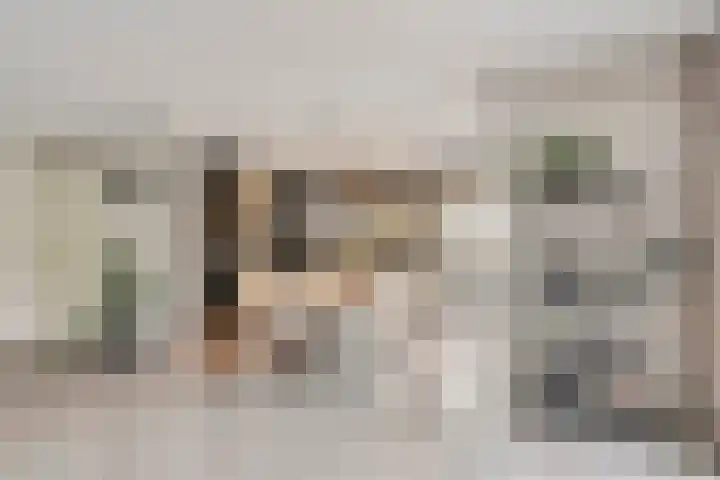 Smallingerlandweg 24 Arnhem thumbnail 8