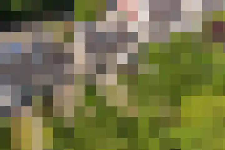 Smallingerlandweg 7 Arnhem thumbnail 4