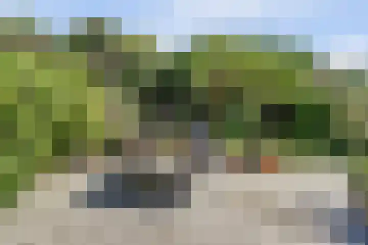 Smallingerlandweg 7 Arnhem thumbnail 40