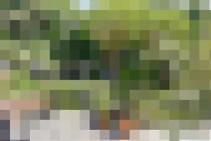 Smallingerlandweg 7 Arnhem thumbnail 41