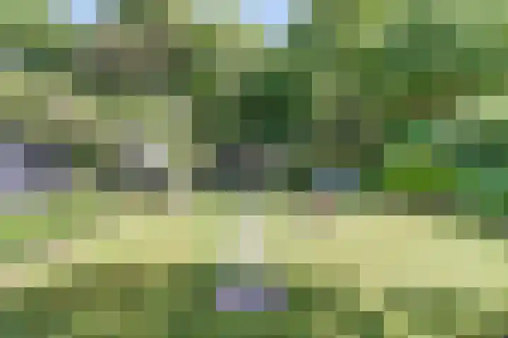 Smallingerlandweg 7 Arnhem thumbnail 43