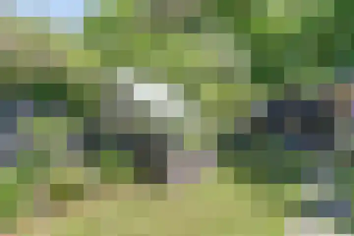 Smallingerlandweg 7 Arnhem thumbnail 45