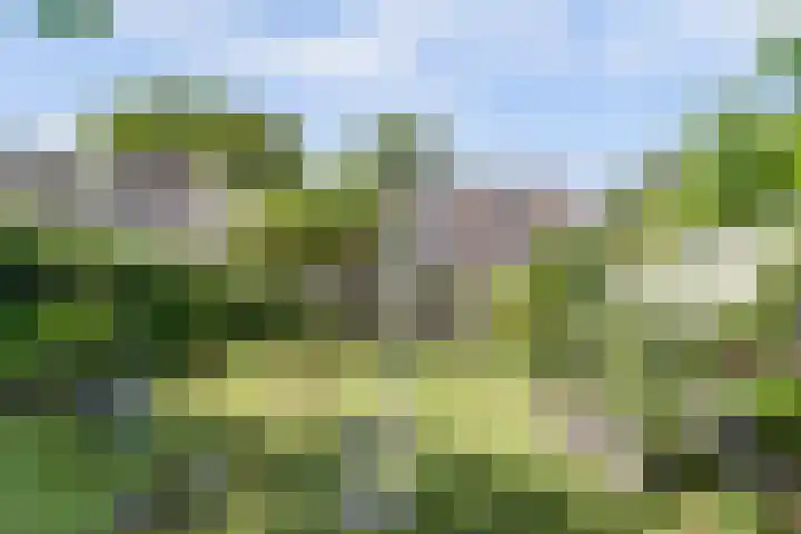 Smallingerlandweg 7 Arnhem thumbnail 46