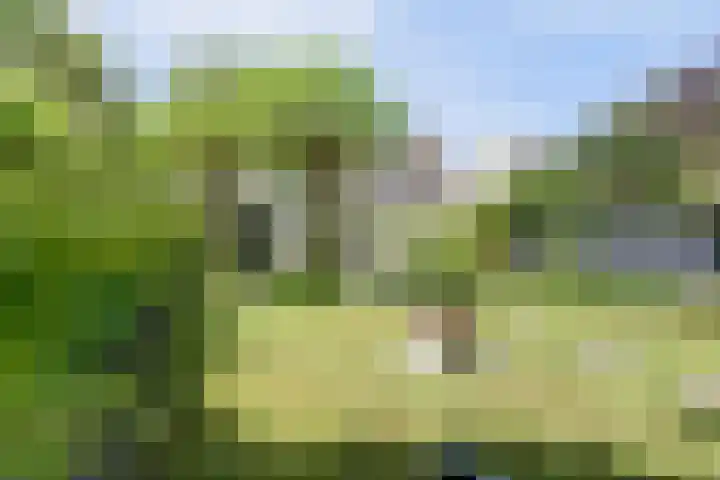 Smallingerlandweg 7 Arnhem thumbnail 47