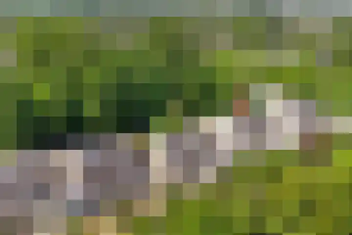 Smallingerlandweg 7 Arnhem thumbnail 50