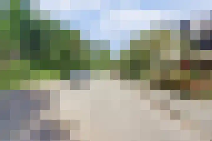 Smallingerlandweg 7 Arnhem thumbnail 6