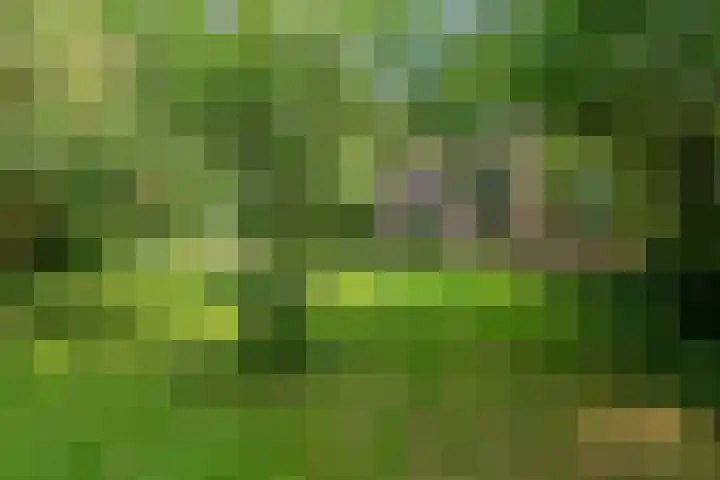 Smalriemseweg 2 Beusichem thumbnail 10