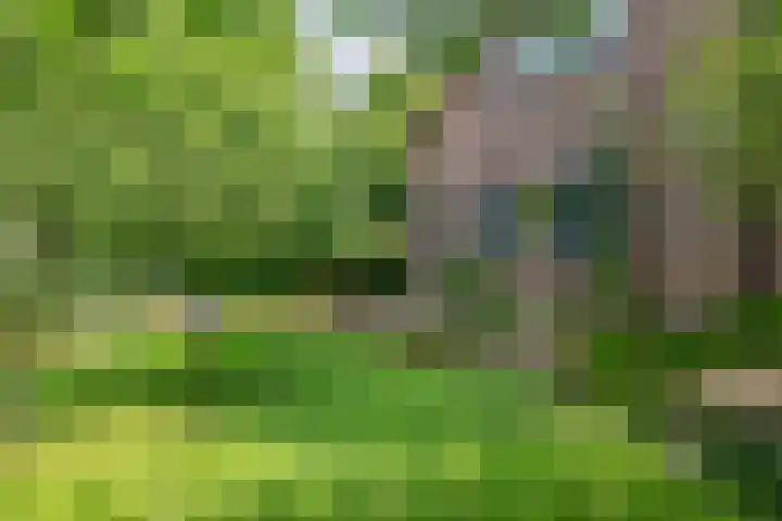 Smalriemseweg 2 Beusichem thumbnail 11