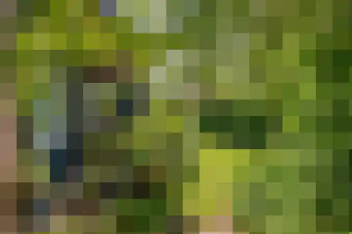 Smalriemseweg 2 Beusichem thumbnail 12