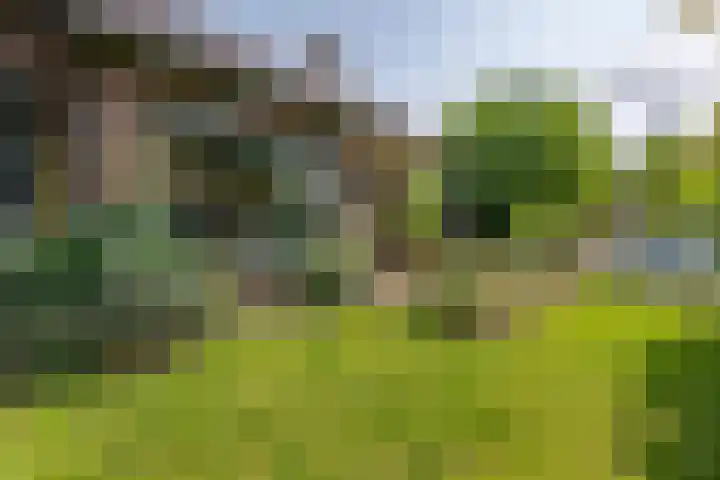 Smalriemseweg 2 Beusichem thumbnail 13