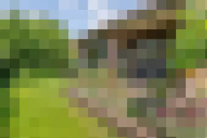 Smalriemseweg 2 Beusichem thumbnail 14