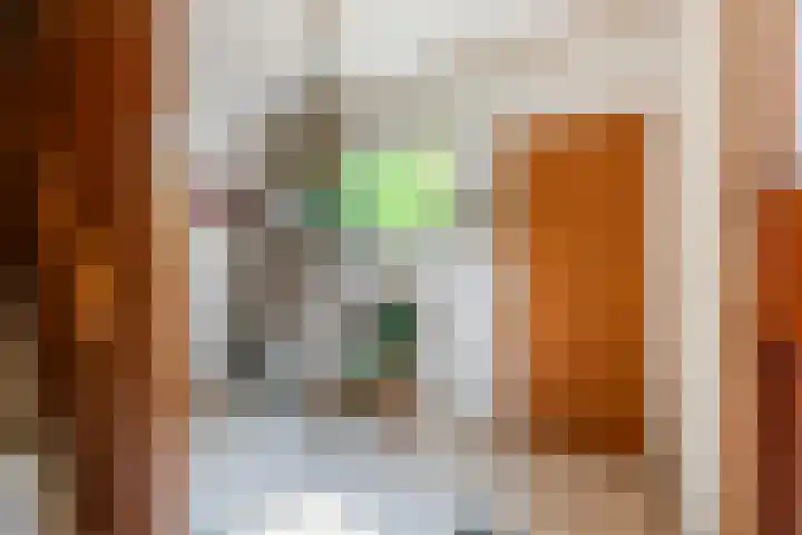 Smalriemseweg 2 Beusichem thumbnail 17