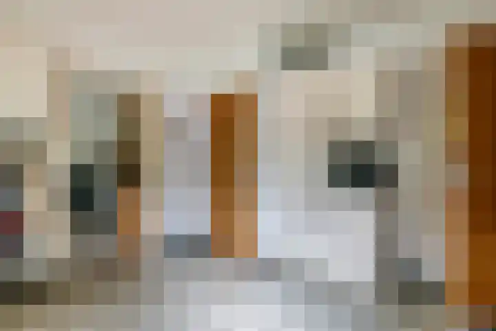 Smalriemseweg 2 Beusichem thumbnail 21