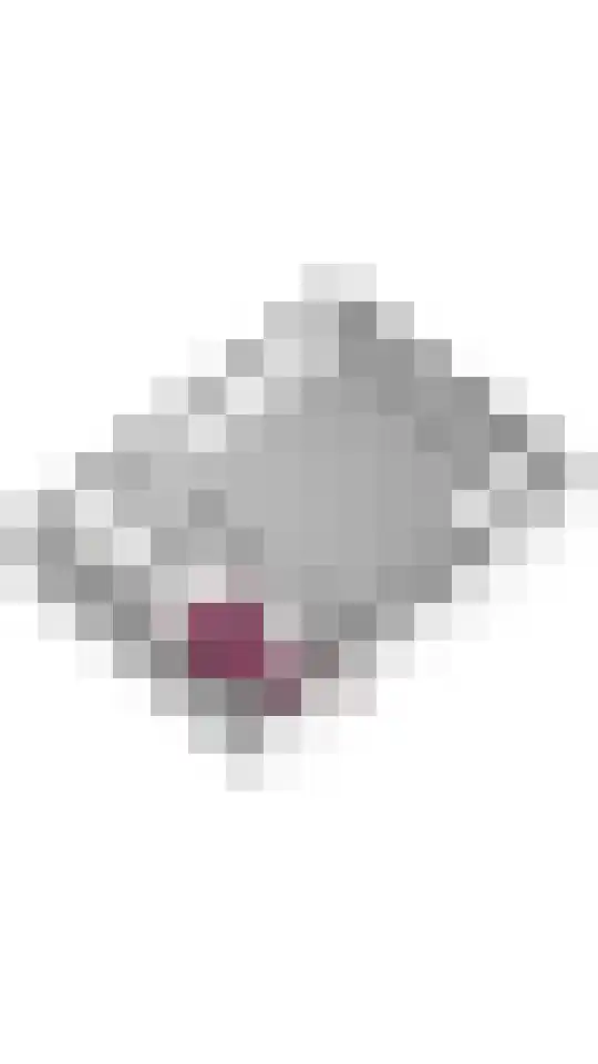Smalriemseweg 2 Beusichem thumbnail 39