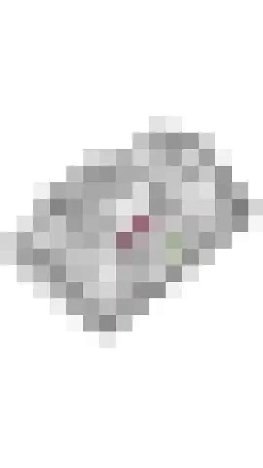 Smalriemseweg 2 Beusichem thumbnail 43