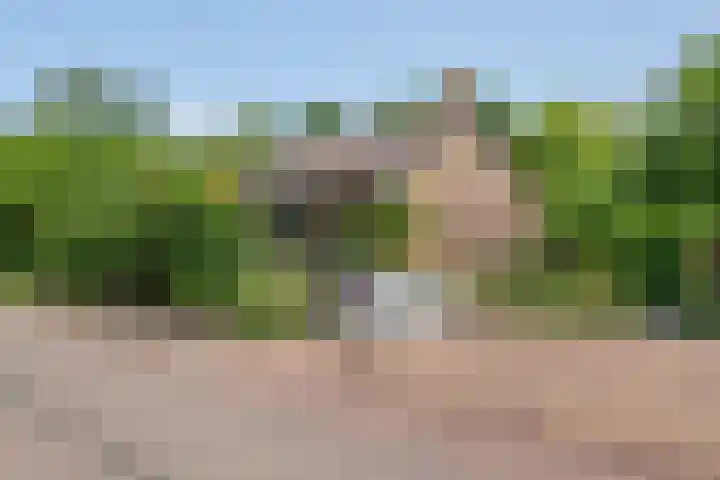 Smalriemseweg 2 Beusichem thumbnail 44