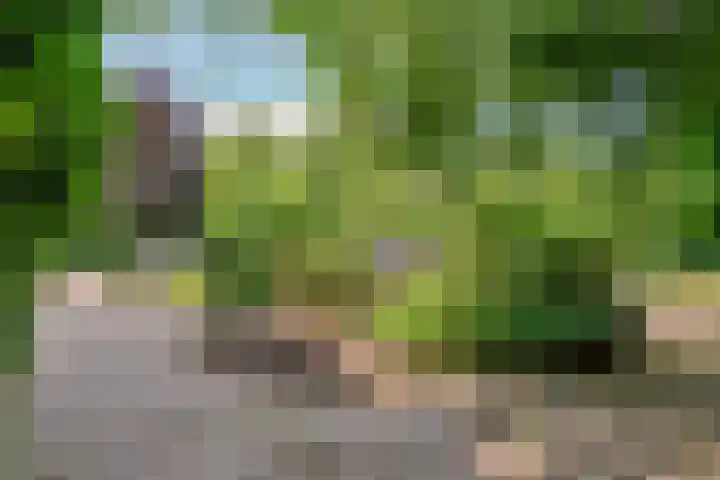 Smalriemseweg 2 Beusichem thumbnail 5