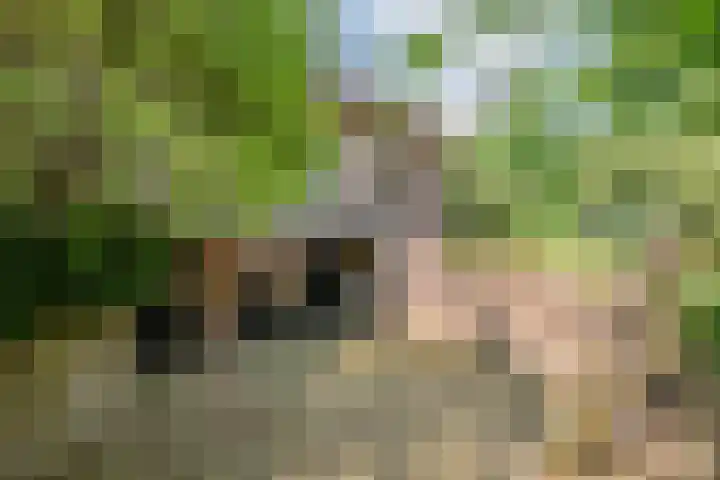 Smalriemseweg 2 Beusichem thumbnail 6