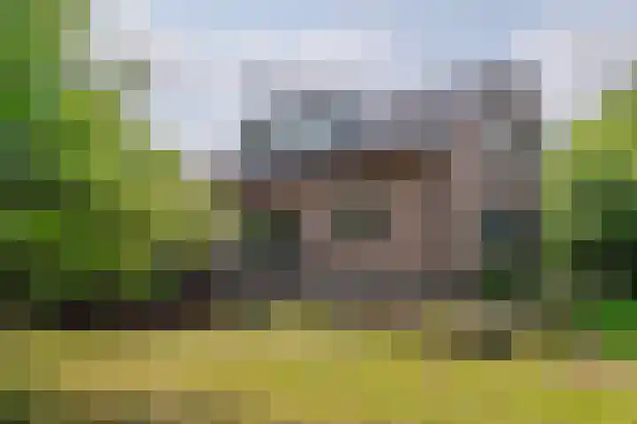 Smalriemseweg 2 Beusichem thumbnail 7