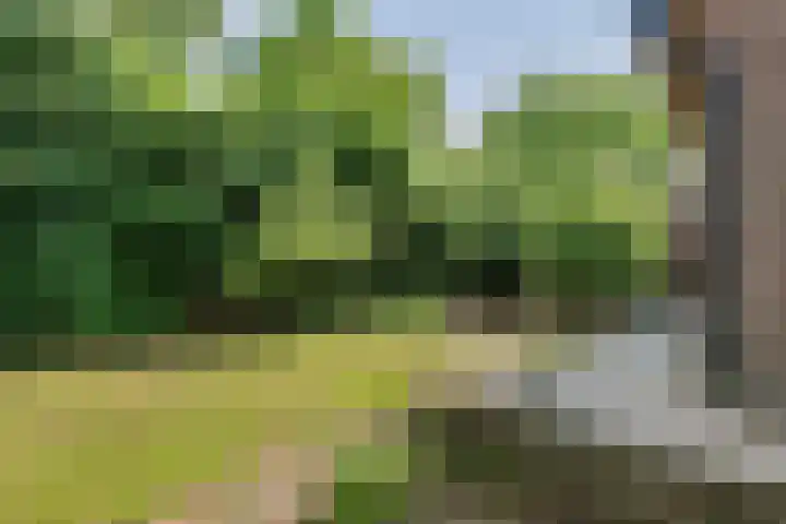 Smalriemseweg 2 Beusichem thumbnail 8
