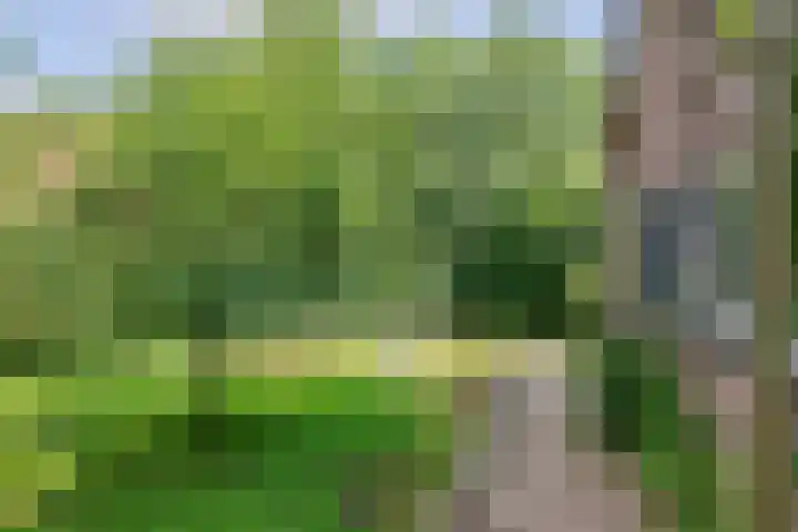 Smalriemseweg 2 Beusichem thumbnail 9