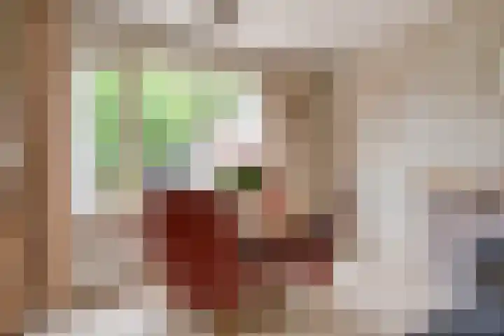 Smalriemseweg 20 Beusichem thumbnail 10
