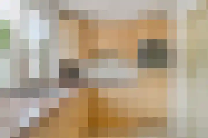 Smalriemseweg 20 Beusichem thumbnail 14